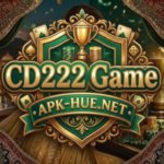 CD222 Game